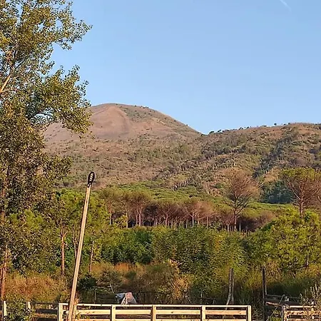Tenuta Terradifuoco *