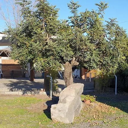 Bauernhof Tenuta Terradifuoco Neapel